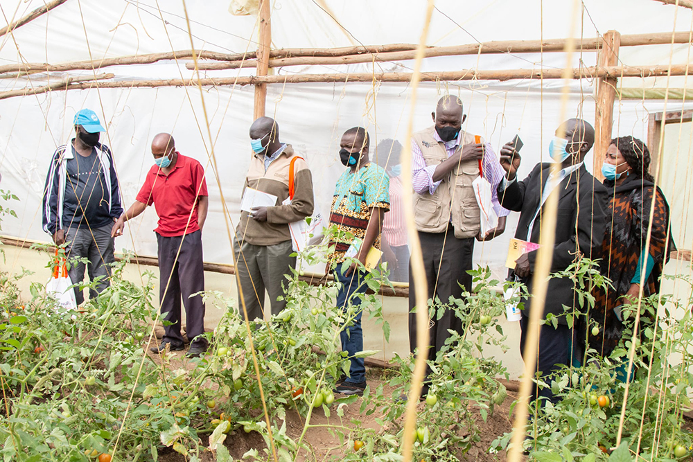 CoELIB to host Students from the University of Juba, South Sudan on a 6-week Internship Programme 